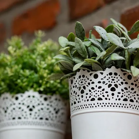 Centre Poznanska With Air-conditioning By Renters Apartament Warszawa